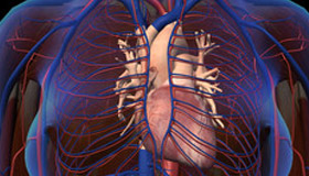 Cardioangiology Treatments